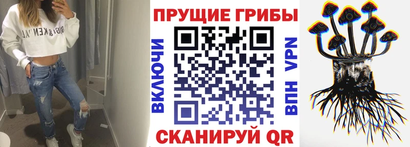мориарти Telegram  купить  цена  Дзержинский  Псилоцибиновые грибы GOLDEN TEACHER 