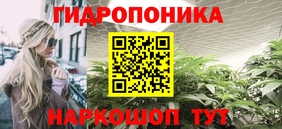 Шишки марихуана семена Дзержинский
